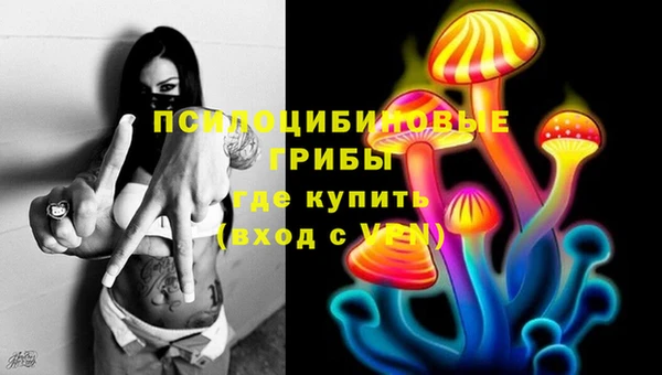PSILOCYBIN Остров