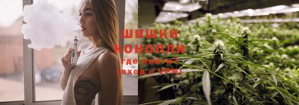 PSILOCYBIN Зерноград