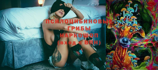 гашик Зеленодольск