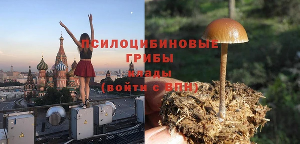 PSILOCYBIN Остров
