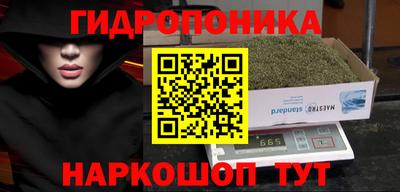 стаф Донской