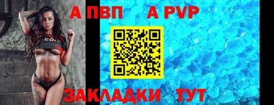 стаф Донской