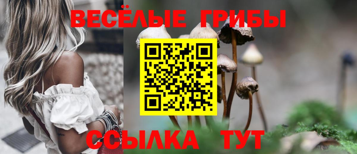 Галлюциногенные грибы Psilocybine cubensis Кушва